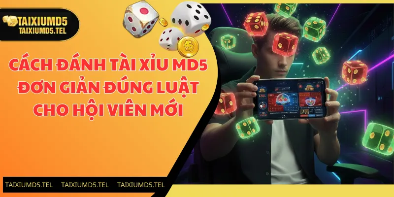 Cách Đánh Tài Xỉu MD5 Đơn Giản Đúng Luật Cho Hội Viên Mới